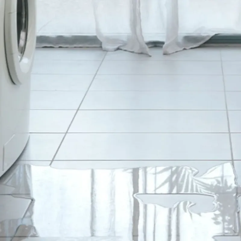 Appliance Leak Cleanup in Lake of the Woods, IL