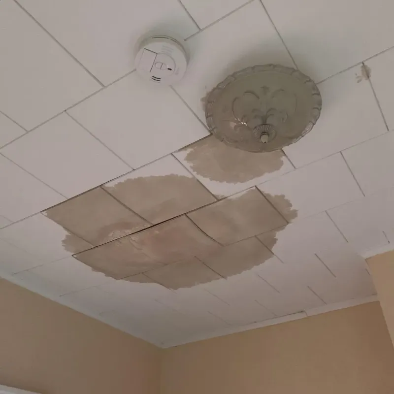 Ceiling Water Damage Repair in Lake of the Woods, IL