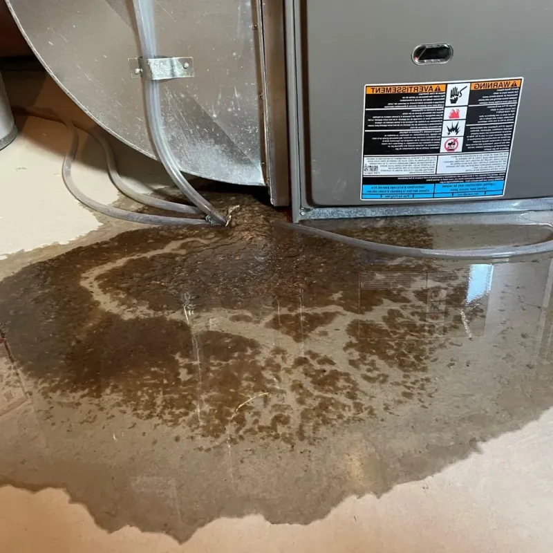 Pipe Burst and Leak Restoration in Lake of the Woods, IL