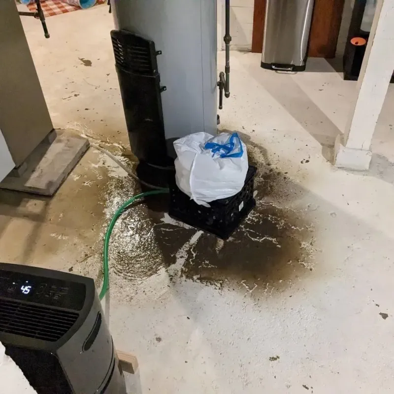 Sewage Backup Cleanup Service in Lake of the Woods, IL